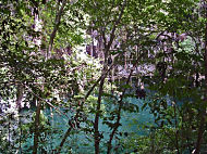 Cenote