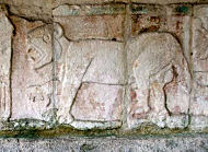 Jaguar at Chitzen Itza