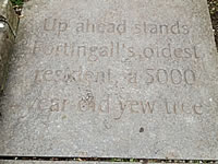 Plaque reading Up ahead stands Fortingall's oldest resident, a 5000 year old yew tree.