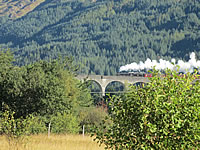 Steam train over bridge