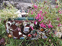 Grave goods