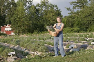 Mary with lavender