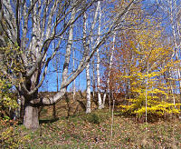 Annapolis Valley