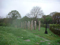 Bridgit's Garden