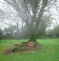 Bridgit's Garden