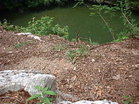 cenote
