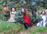 Faery group on Arran Island