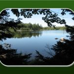 Whale Lake