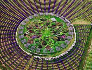 Sacred garden